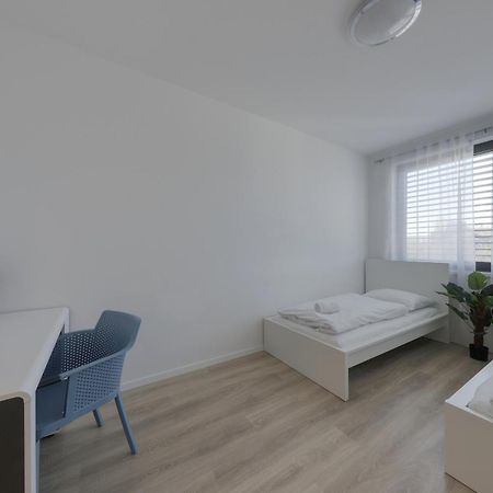 Bazova Apartment With Free Parking 布拉迪斯拉发 外观 照片